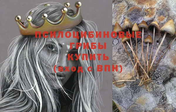 дмт Нея