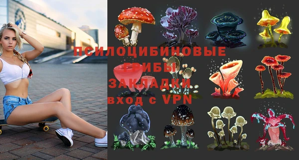 дмт Нея