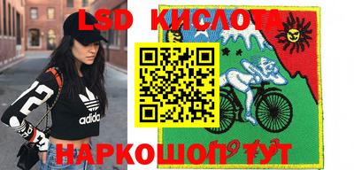 гашик Гусев