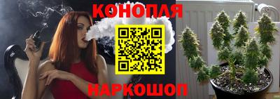 гашик Гусев