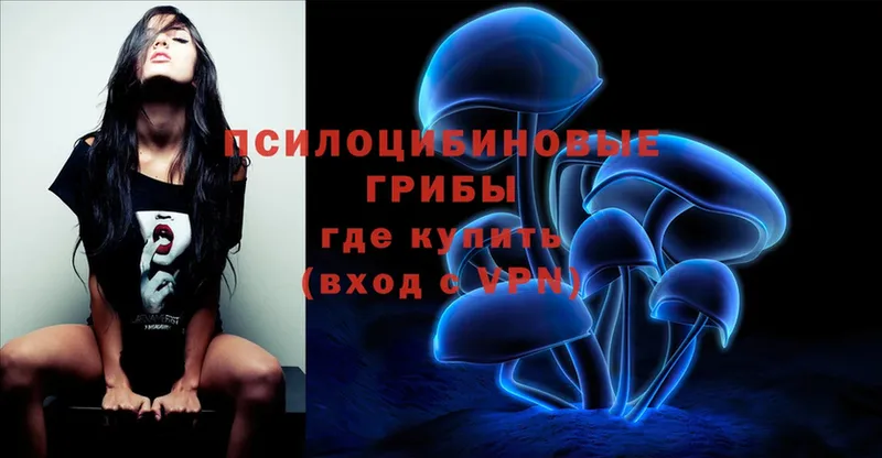 Псилоцибиновые грибы Psilocybe  Минусинск 