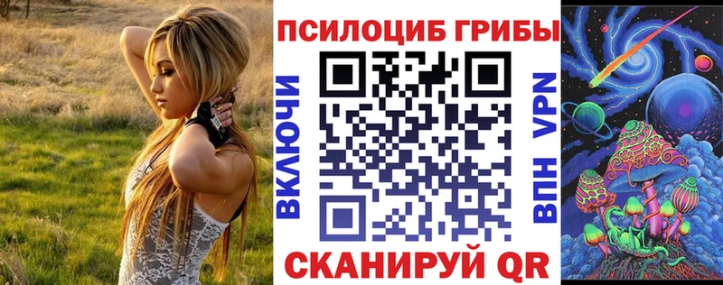 kraken ссылки  darknet состав  Псилоцибиновые грибы мицелий  Минусинск 