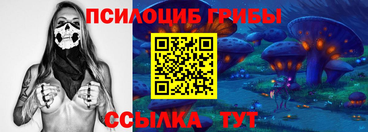 Галлюциногенные грибы MAGIC MUSHROOMS  Вход с VPN  Минусинск 